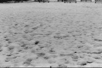 a black and white photo of a snow covered field